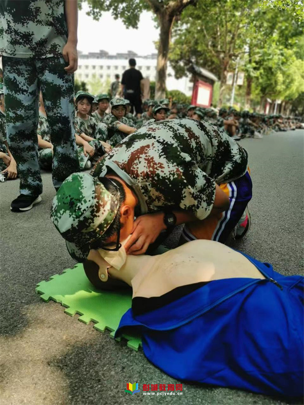 图片 5.png