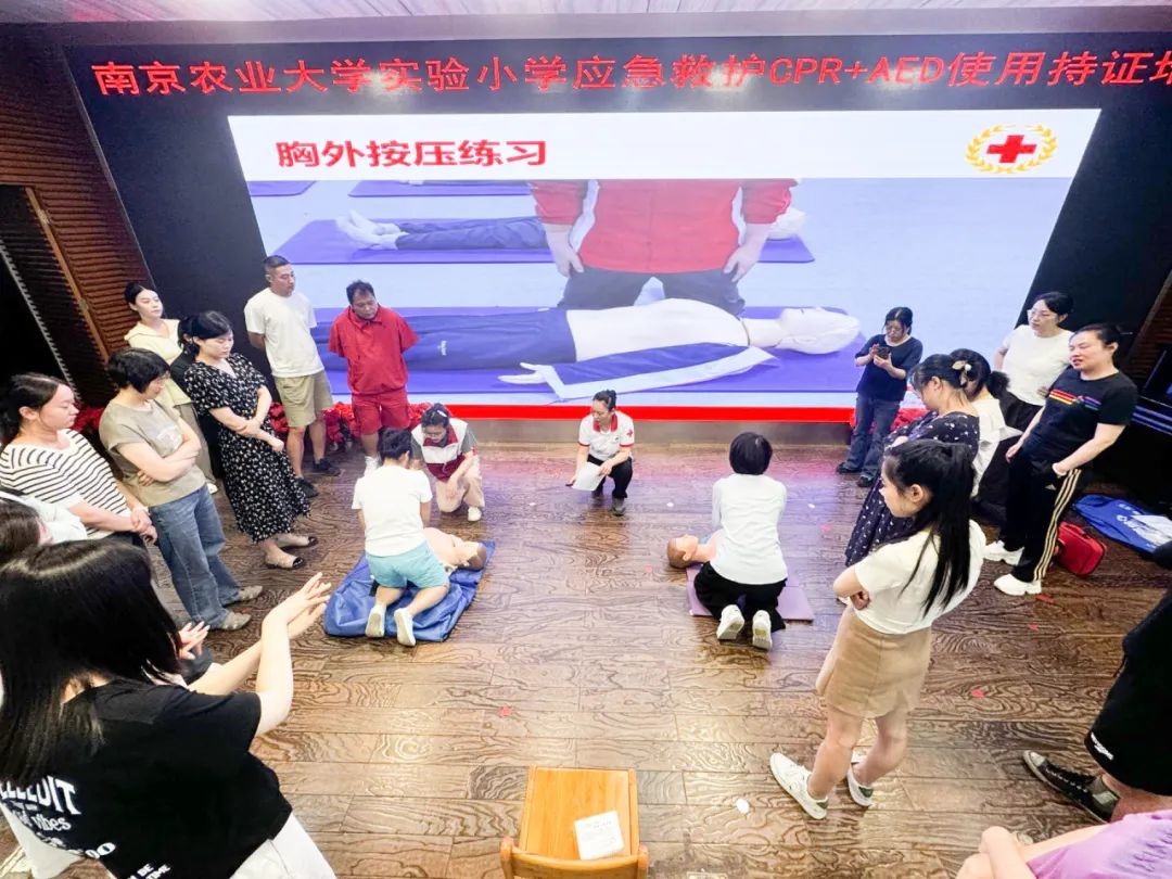 南农实小3.jpg