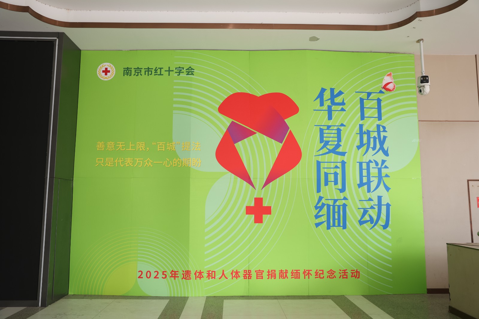 IMGL0517-opq3506817128.jpg
